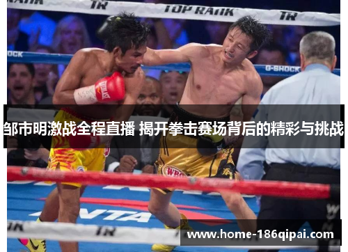 邹市明激战全程直播 揭开拳击赛场背后的精彩与挑战